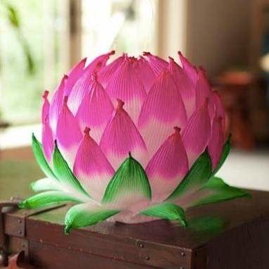 lotus lantern