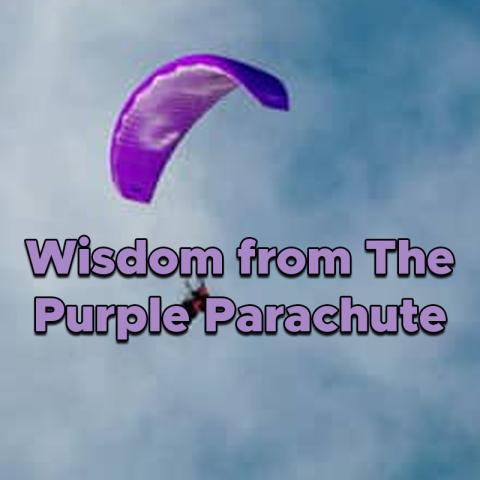 Wisdom from The Purple Parachute