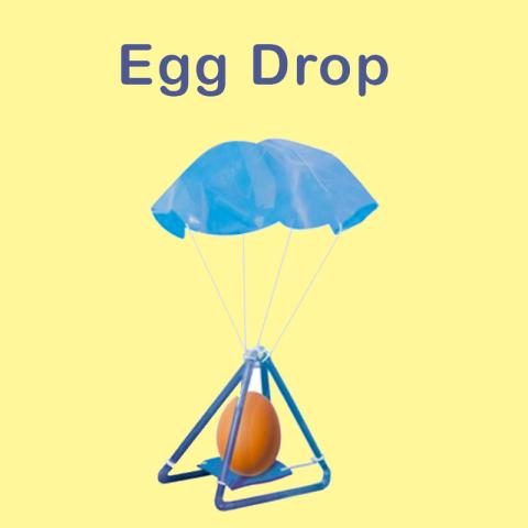 egg drop logo