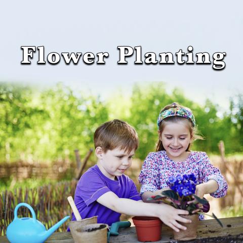 flower planting