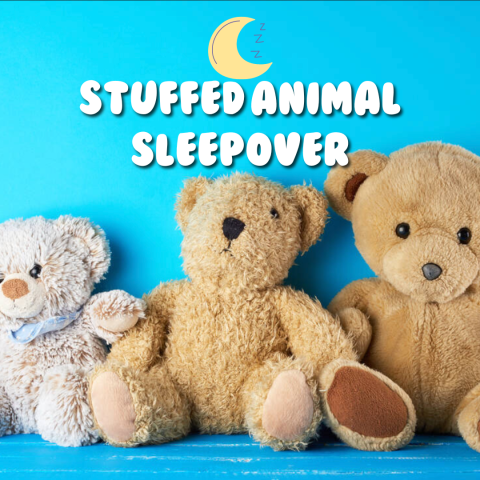 stuffed animal sleepover