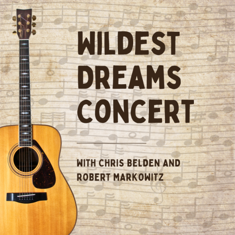 Wildest Dreams Concert