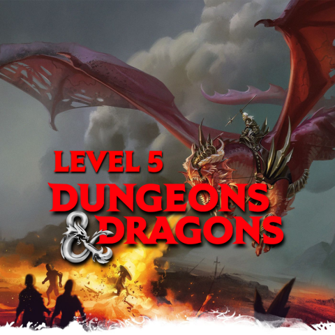 level 5 d&d