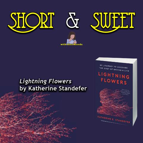 Lightning Flowers by Katherine Standefer