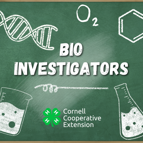 4H BIO
