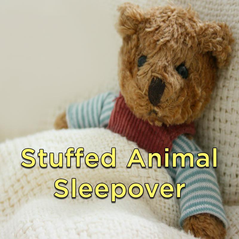 Stuffed Animal Sleepover