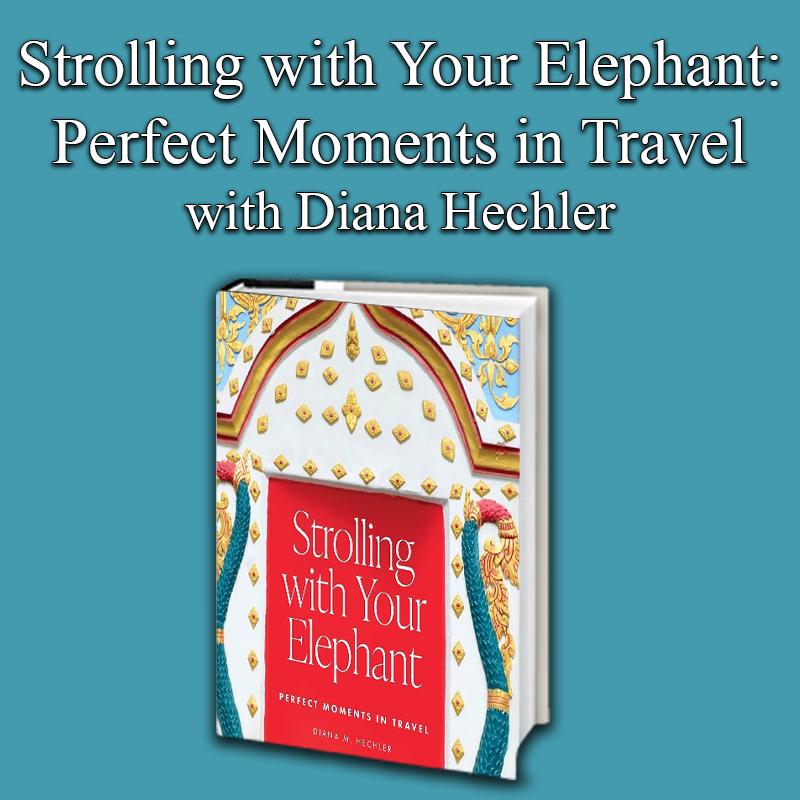 strollingwyourelephant