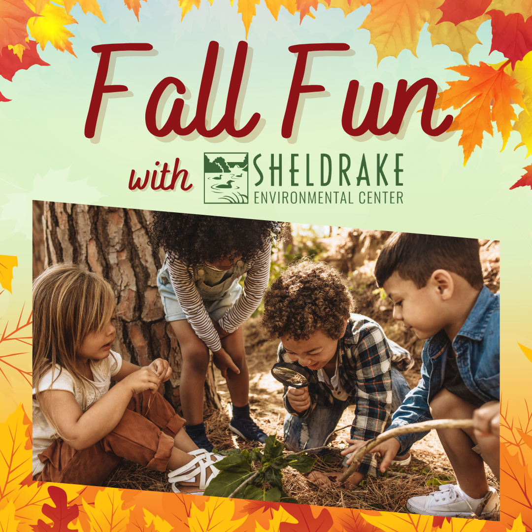 Fall Fun with Sheldrake