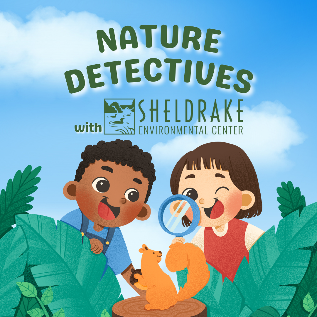 nature detectives